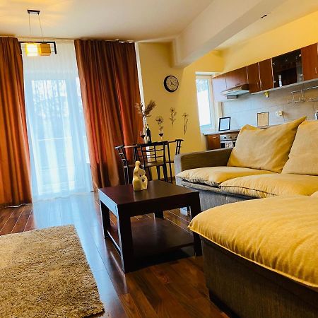 Eclipse Apartment Free Parking Cluj-Napoca Eksteriør billede