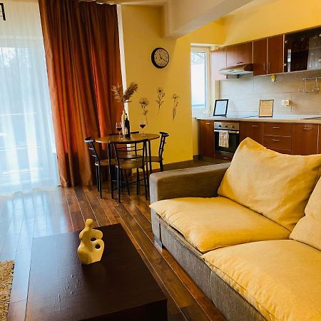 Eclipse Apartment Free Parking Cluj-Napoca Eksteriør billede