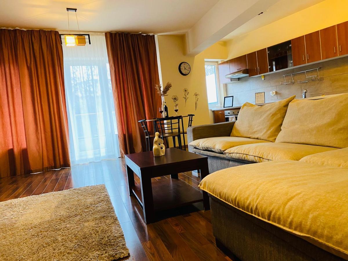 Eclipse Apartment Free Parking Cluj-Napoca Eksteriør billede