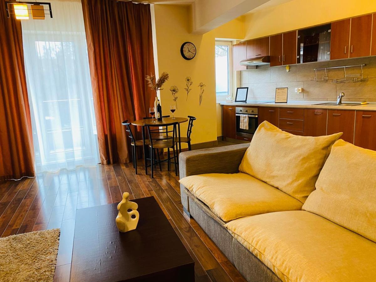 Eclipse Apartment Free Parking Cluj-Napoca Eksteriør billede